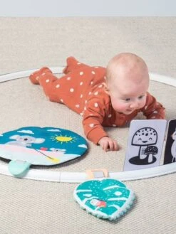 Cerceau D'activités Koala TAFTOYS Beige - Taf Toys -Jouets Séries Magasin cerceau dactivites koala taftoys 2