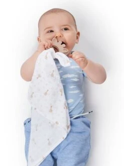 Coffret Lange + Anneau En Caoutchouc Sophie La Girafe - VULLI Beige - Sophie La Girafe -Jouets Séries Magasin coffret lange anneau en caoutchouc sophie la girafe vulli 2