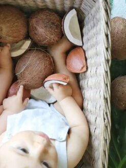 Jouet De Dentition Coco La Noix De Coco - OLI & CAROL Marron - Oli Et Carol -Jouets Séries Magasin jouet de dentition coco la noix de coco oli carol 5