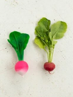 Jouet De Dentition Ramona Le Radis - OLI & CAROL Rose - Oli Et Carol -Jouets Séries Magasin jouet de dentition ramona le radis oli carol 5