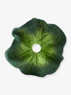 Mini Doudou Kendall Le Kale - OLI & CAROL Vert - Oli Et Carol -Jouets Séries Magasin mini doudou kendall le kale oli carol 2