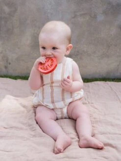 Renato La Tomate - OLI & CAROL Rouge - Oli Et Carol -Jouets Séries Magasin renato la tomate oli carol 2