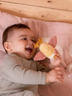 Tapis D'Éveil Oiseau - LITTLE DUTCH Rose Pâle - Little Dutch -Jouets Séries Magasin tapis deveil oiseau little dutch 4